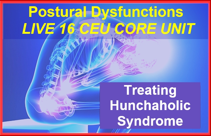 Lpostural Dysfunctions live 16-core-unit