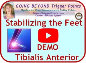 STABILIZING THE FEET WEBINAR DEMO: Tibialis Anterior