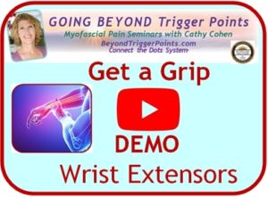 GET A GRIP WEBINAR DEMO: Wrist Extensors